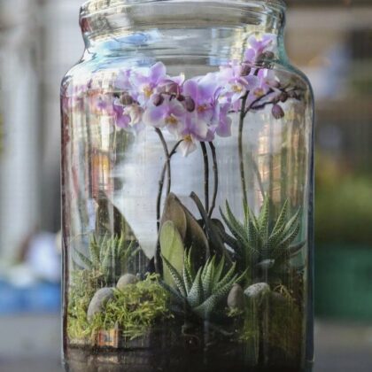 Terrarium Workshop