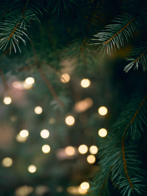 Comment fêter Noël en France : les 10 traditions indispensables